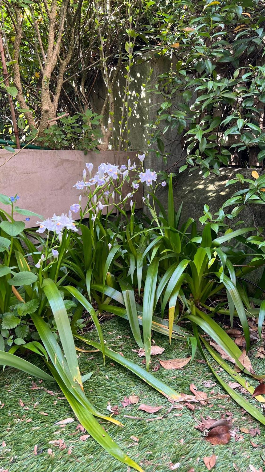 Garden Suite Bozen Extérieur photo