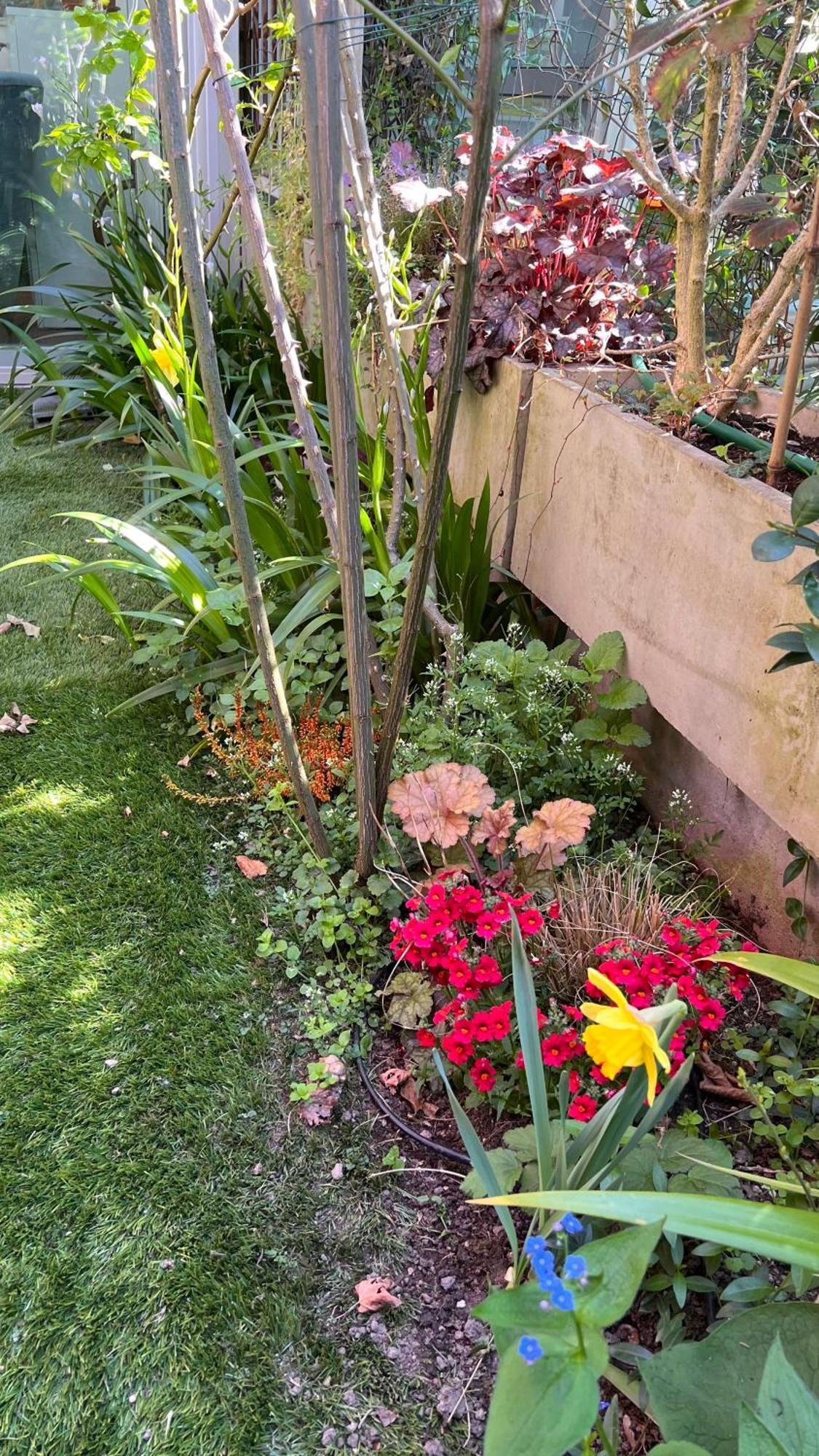 Garden Suite Bozen Extérieur photo