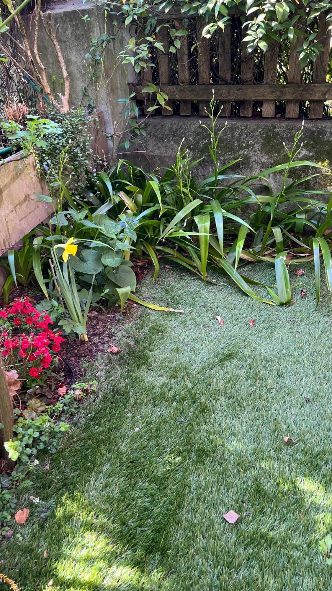 Garden Suite Bozen Extérieur photo